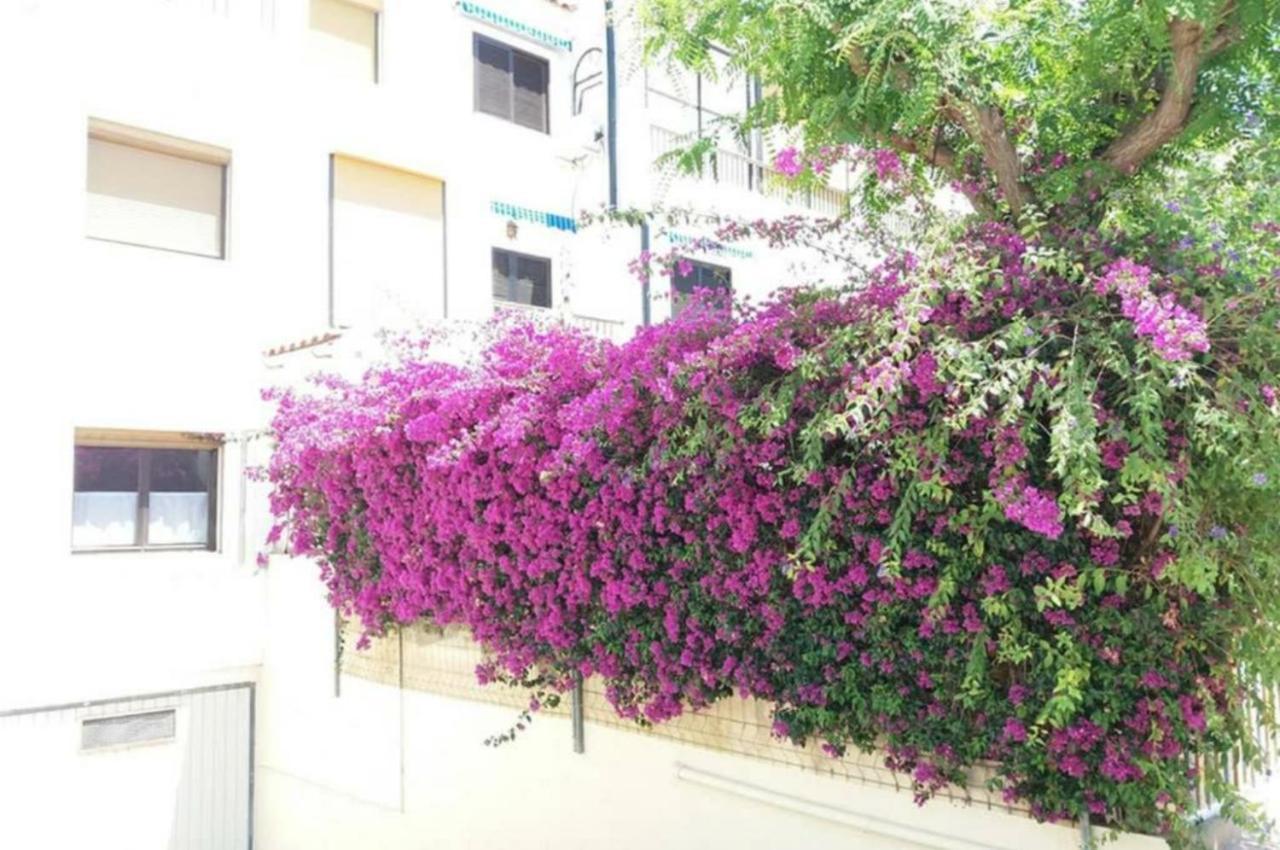 אל קאמפיו Bungalow Con Encanto, 100M2, A 800 M De La Playa מראה חיצוני תמונה